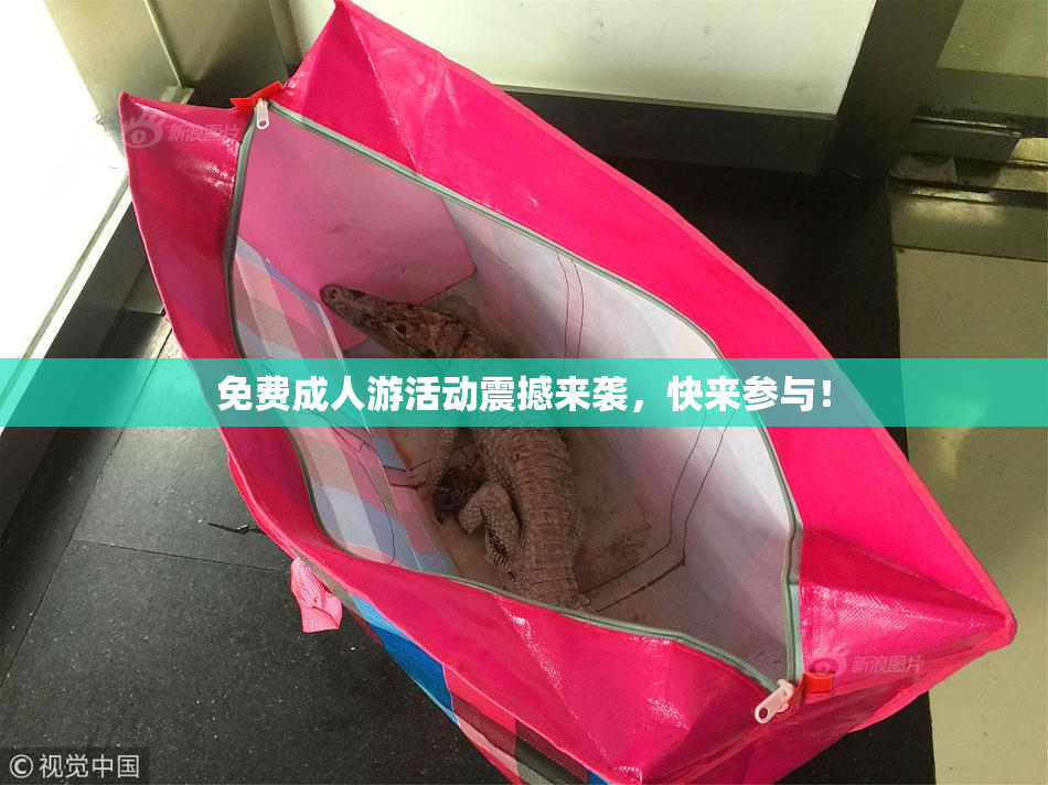 免费成人游活动震撼来袭，快来参与！