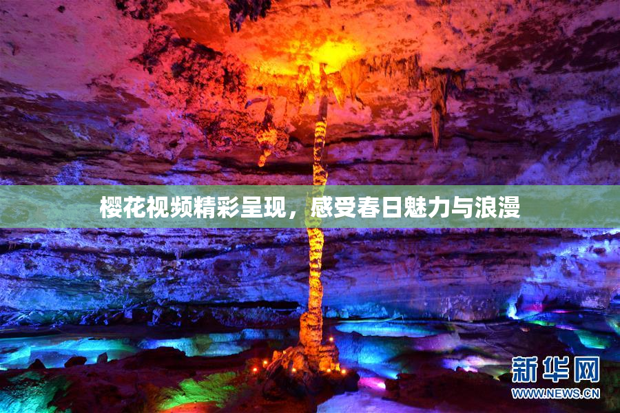 樱花视频精彩呈现，感受春日魅力与浪漫