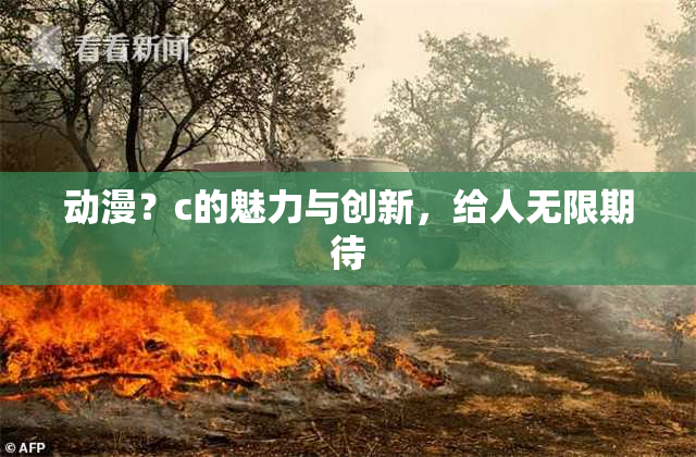 动漫？c的魅力与创新，给人无限期待