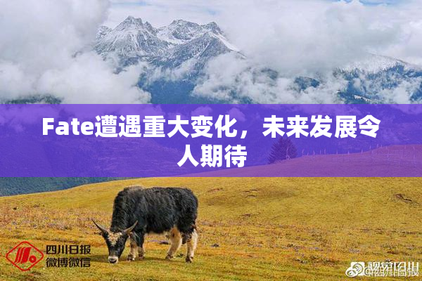 Fate遭遇重大变化，未来发展令人期待
