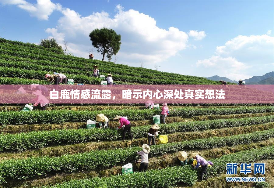 白鹿情感流露，暗示内心深处真实想法
