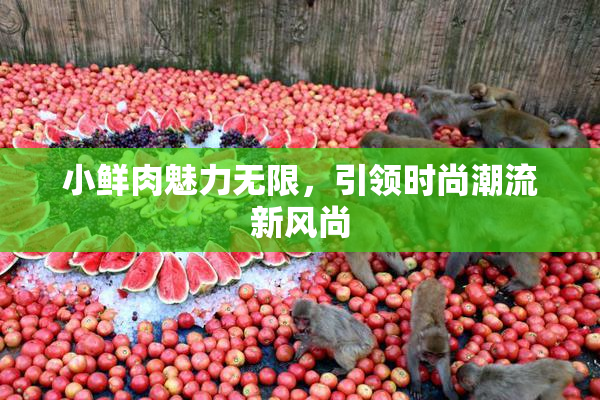 小鲜肉魅力无限，引领时尚潮流新风尚