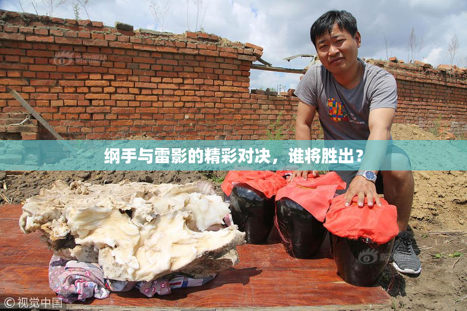 纲手与雷影的精彩对决，谁将胜出？