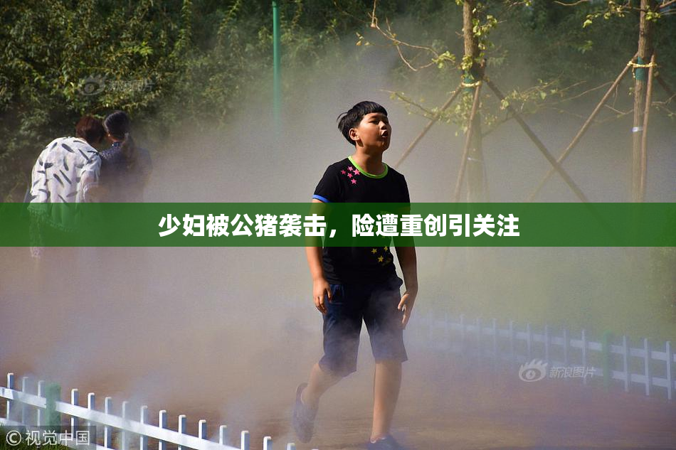 少妇被公猪袭击，险遭重创引关注