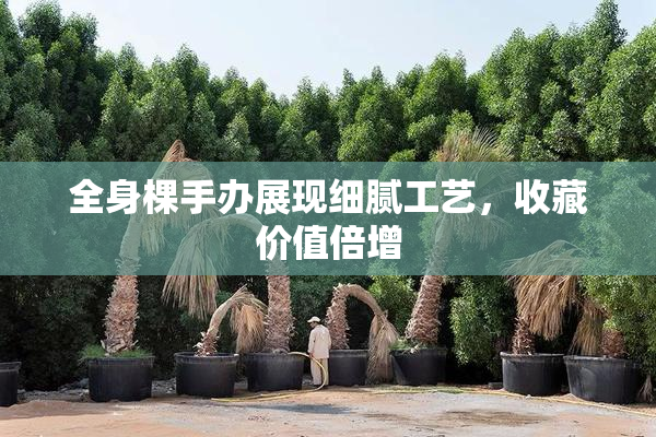 全身棵手办展现细腻工艺，收藏价值倍增