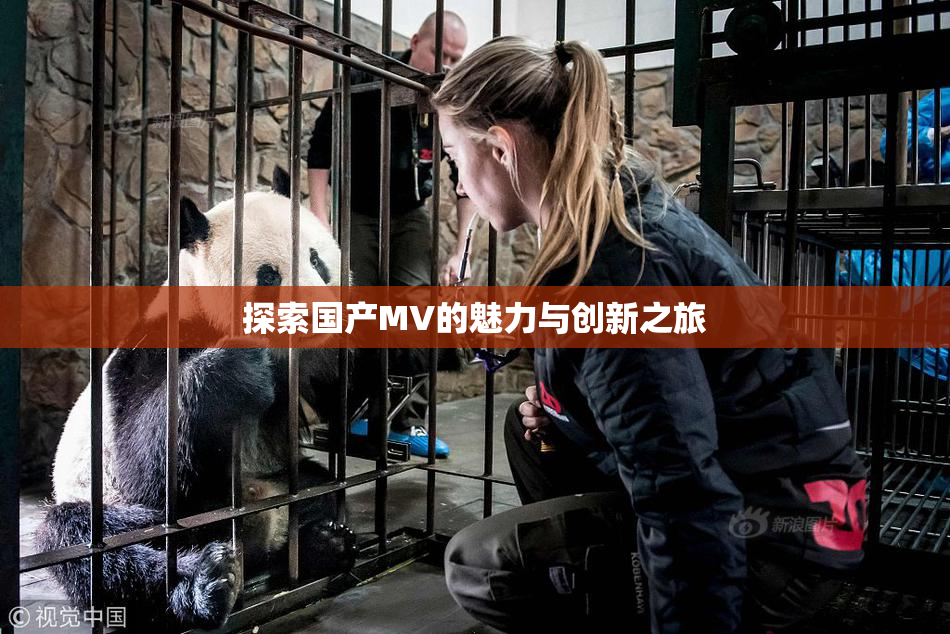 探索国产MV的魅力与创新之旅
