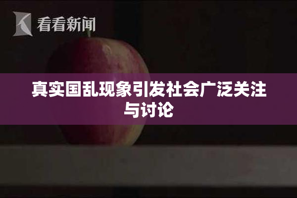 真实国乱现象引发社会广泛关注与讨论