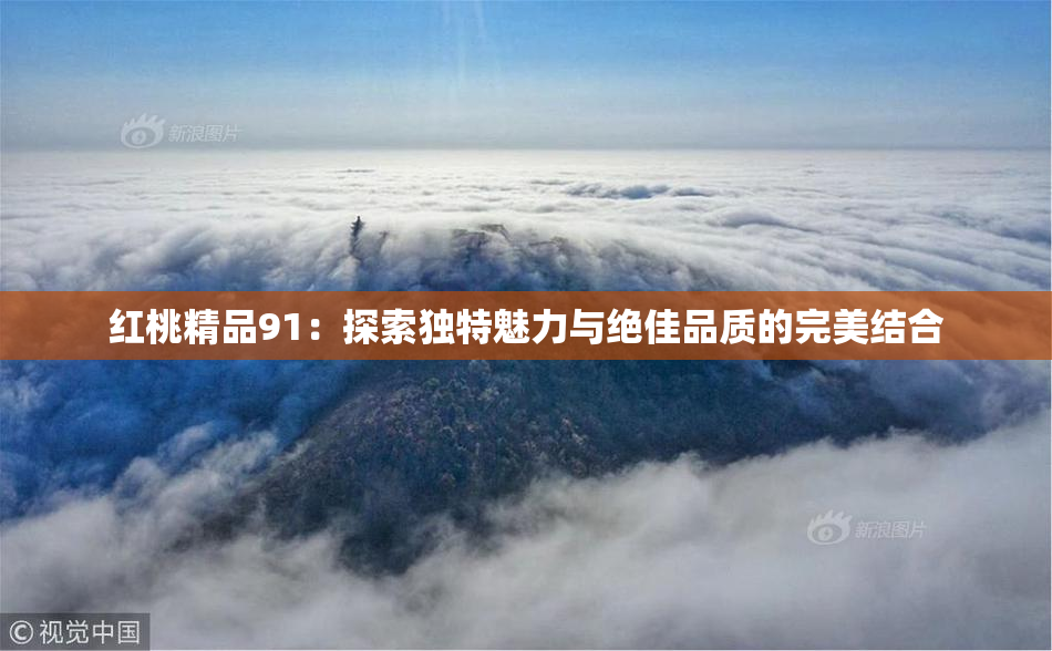 红桃精品91：探索独特魅力与绝佳品质的完美结合