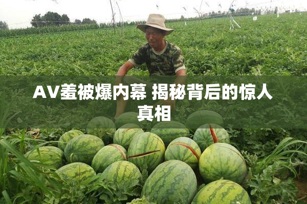 AV羞被爆内幕 揭秘背后的惊人真相
