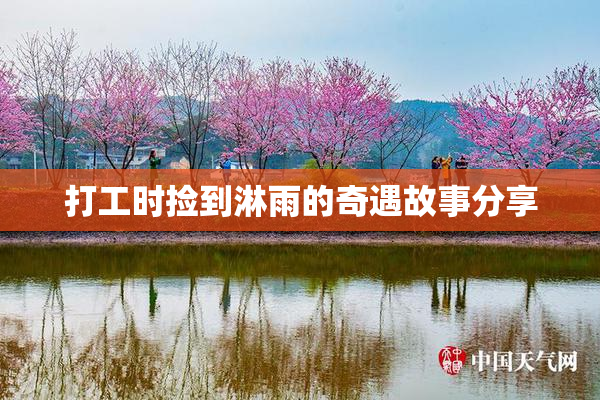 打工时捡到淋雨的奇遇故事分享