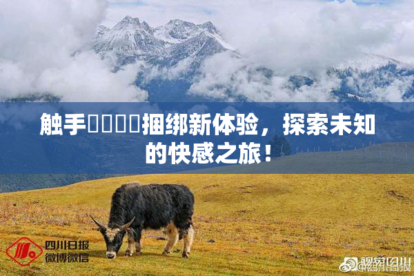 触手❌‌❌‌捆绑新体验，探索未知的快感之旅！