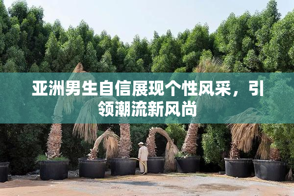 亚洲男生自信展现个性风采，引领潮流新风尚