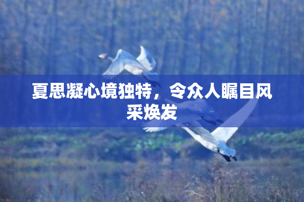 夏思凝心境独特，令众人瞩目风采焕发