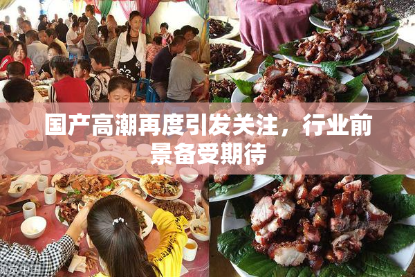 国产高潮再度引发关注，行业前景备受期待