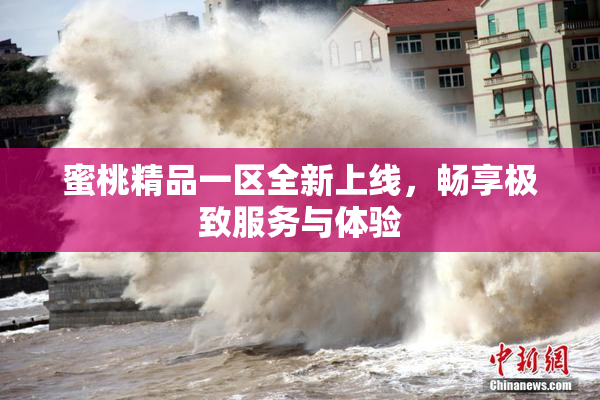 蜜桃精品一区全新上线，畅享极致服务与体验