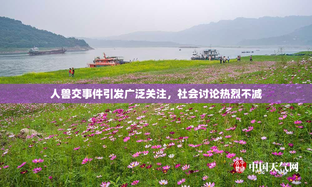 人兽交事件引发广泛关注，社会讨论热烈不减