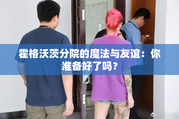 霍格沃茨分院的魔法与友谊：你准备好了吗？