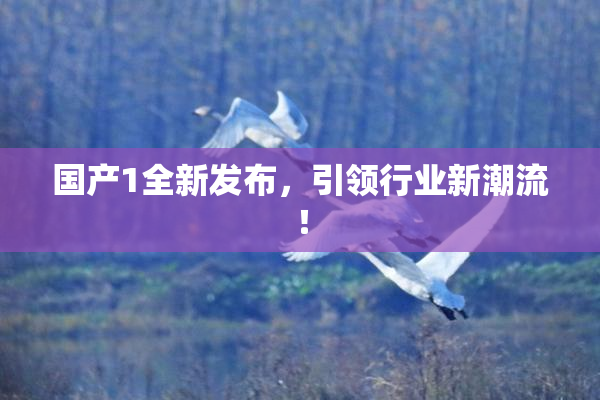 国产1全新发布，引领行业新潮流！