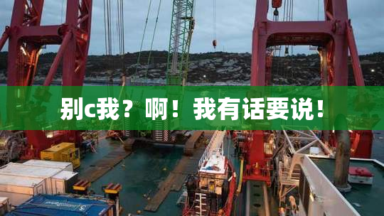 别c我？啊！我有话要说！