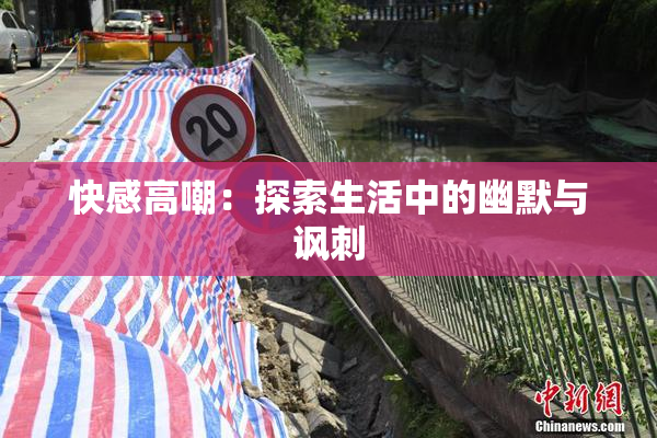 快感高嘲：探索生活中的幽默与讽刺