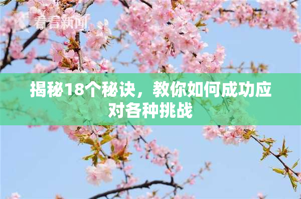 揭秘18个秘诀，教你如何成功应对各种挑战