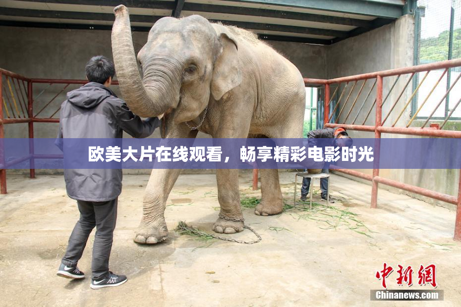 欧美大片在线观看，畅享精彩电影时光
