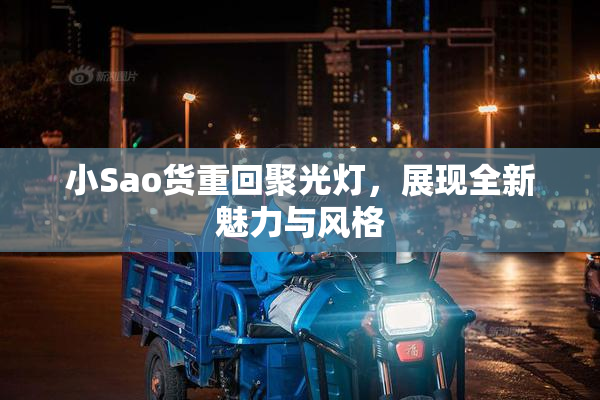 小Sao货重回聚光灯，展现全新魅力与风格