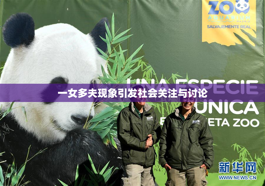 一女多夫现象引发社会关注与讨论