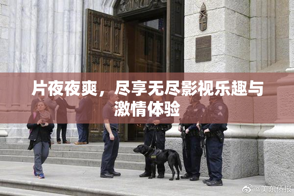 片夜夜爽，尽享无尽影视乐趣与激情体验