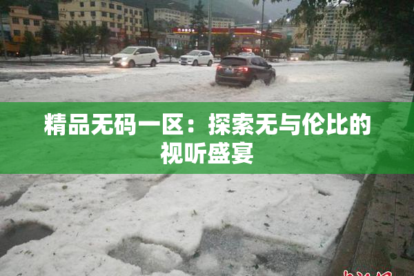 精品无码一区：探索无与伦比的视听盛宴