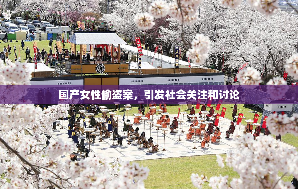国产女性偷盗案，引发社会关注和讨论