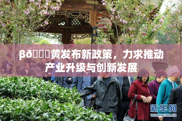 β🔞黄发布新政策，力求推动产业升级与创新发展