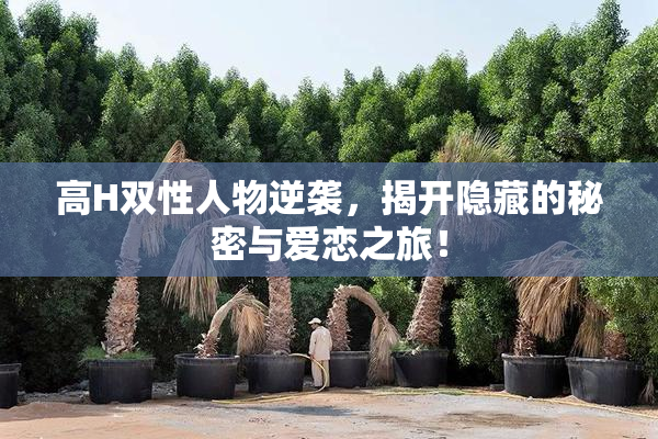 高H双性人物逆袭，揭开隐藏的秘密与爱恋之旅！