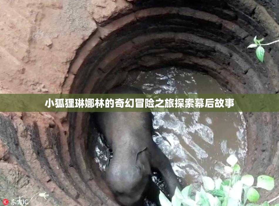 小狐狸琳娜林的奇幻冒险之旅探索幕后故事