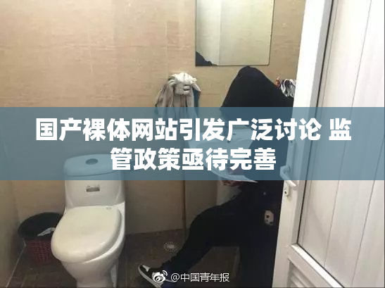 国产裸体网站引发广泛讨论 监管政策亟待完善