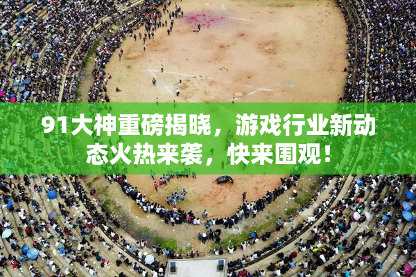 91大神重磅揭晓，游戏行业新动态火热来袭，快来围观！