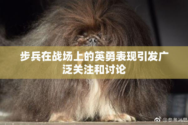 步兵在战场上的英勇表现引发广泛关注和讨论
