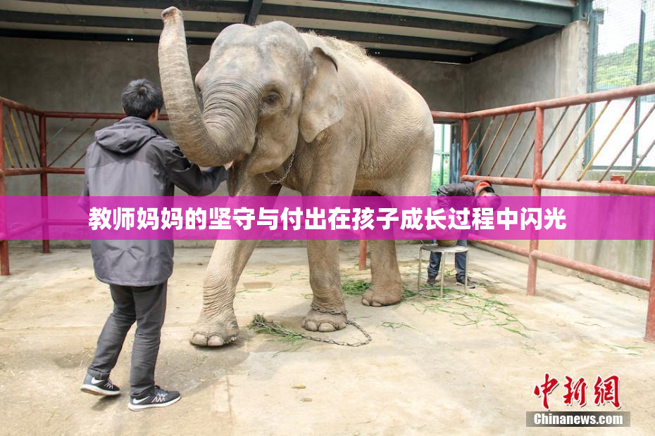 教师妈妈的坚守与付出在孩子成长过程中闪光
