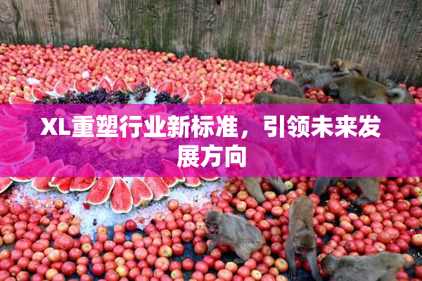 XL重塑行业新标准，引领未来发展方向