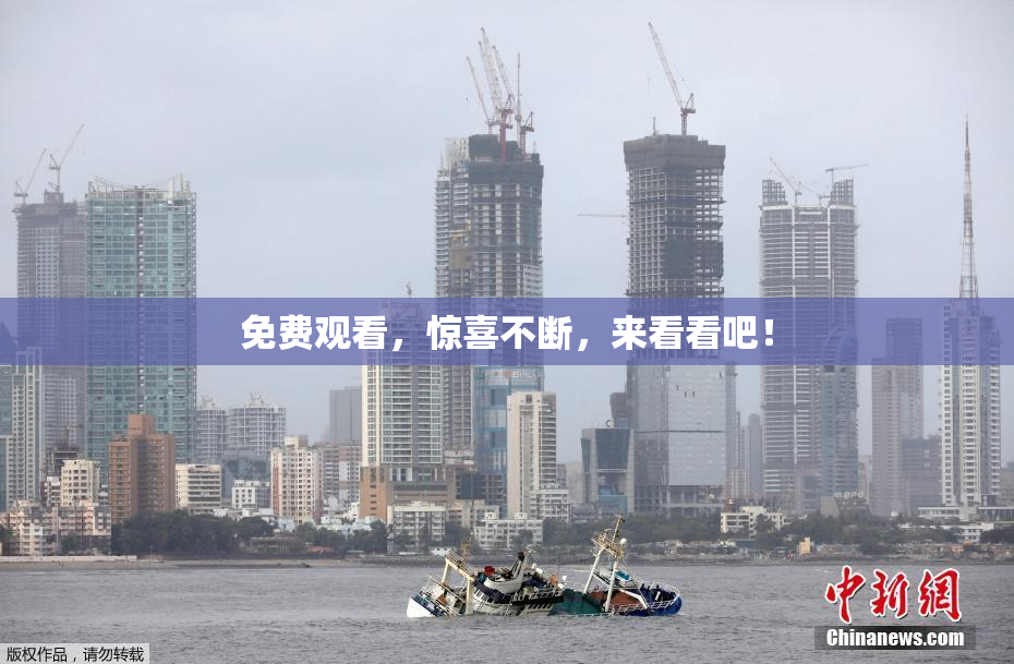 免费观看，惊喜不断，来看看吧！