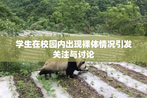 学生在校园内出现裸体情况引发关注与讨论