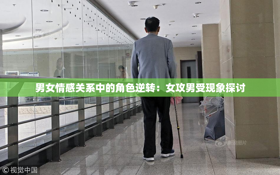 男女情感关系中的角色逆转：女攻男受现象探讨