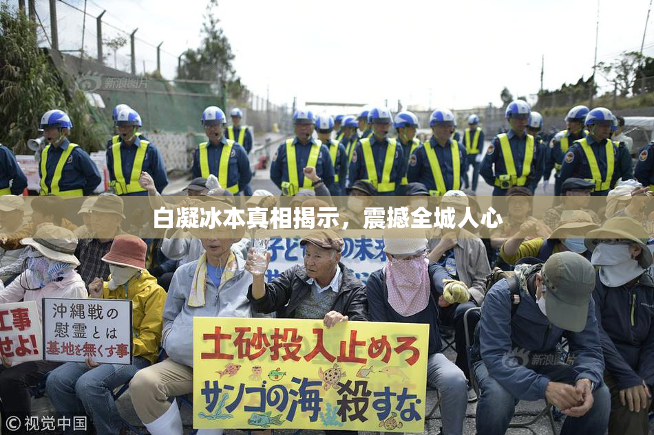 白凝冰本真相揭示，震撼全城人心