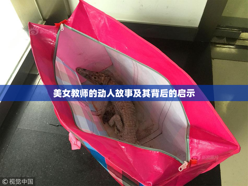 美女教师的动人故事及其背后的启示