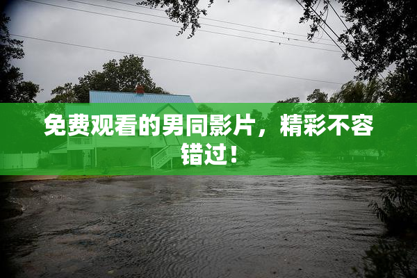 免费观看的男同影片，精彩不容错过！