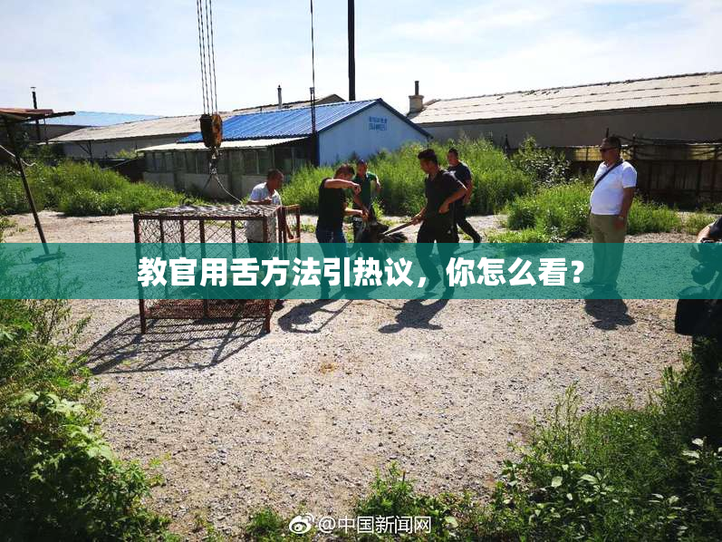 教官用舌方法引热议，你怎么看？