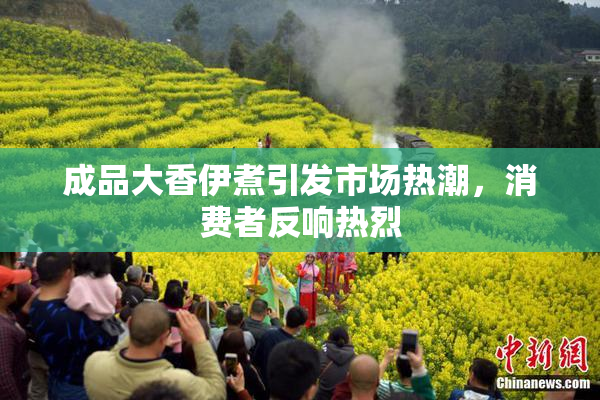 成品大香伊煮引发市场热潮，消费者反响热烈