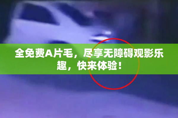 全免费A片毛，尽享无障碍观影乐趣，快来体验！