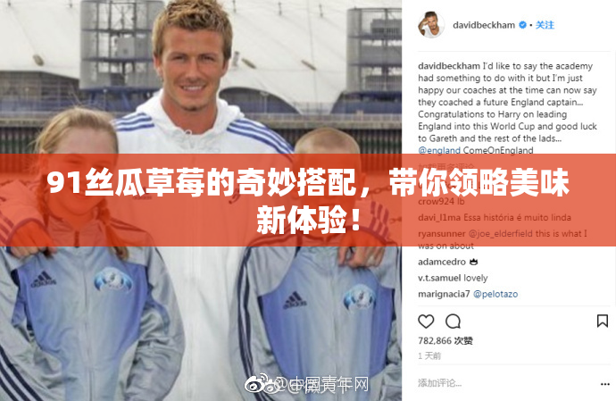 91丝瓜草莓的奇妙搭配，带你领略美味新体验！