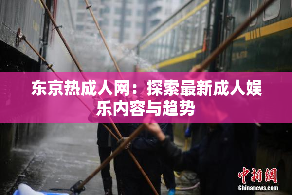东京热成人网：探索最新成人娱乐内容与趋势